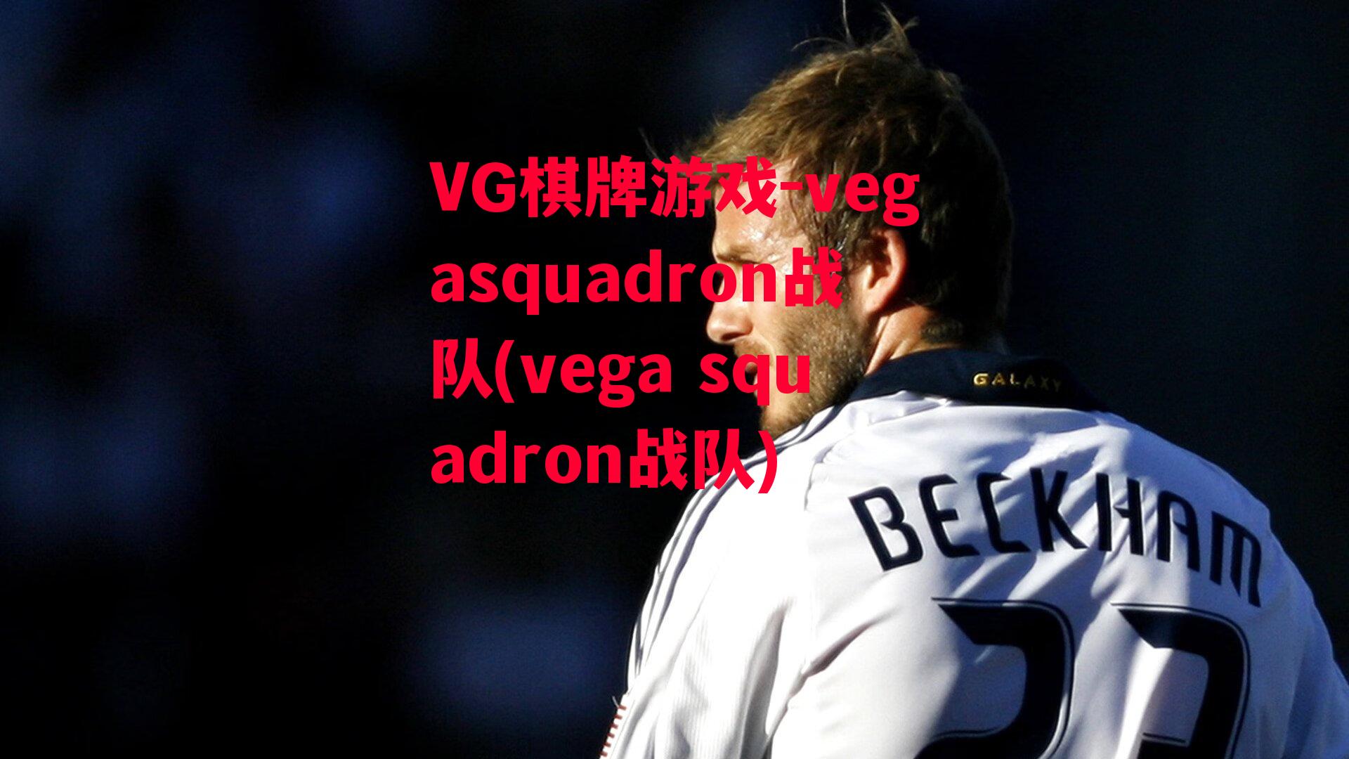 vegasquadron战队(vega squadron战队)